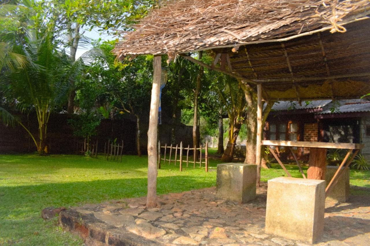 Green Cottage Anuradhapura Exterior photo